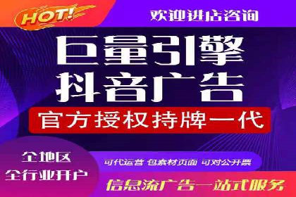 揭秘百度竞价排名：实战案例解析